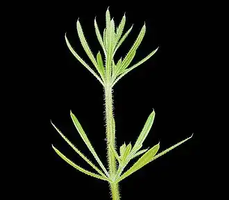 alternativní popis obrázku chybí