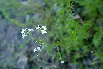 alternativní popis obrázku chybí