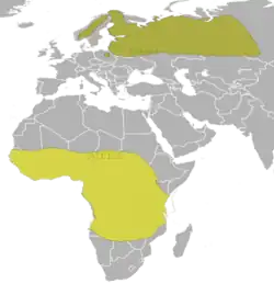 Areál rozšíření:      Hnízdiště      Zimoviště