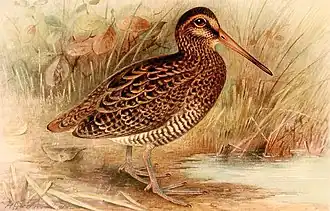 Henrik Grønvold, 1921