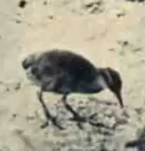 alternativní popis obrázku chybí