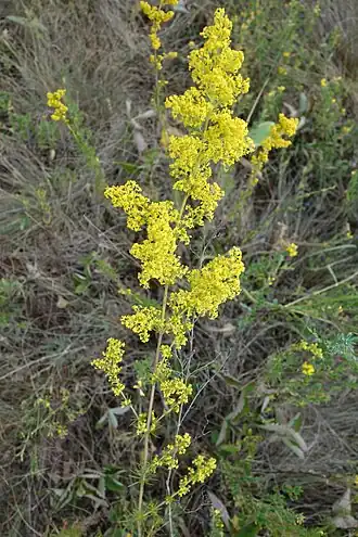 alternativní popis obrázku chybí