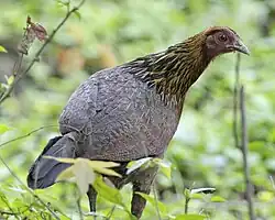 alternativní popis obrázku chybí