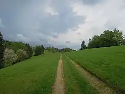 Přírodní rezervace Galovské lúky