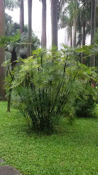 alternativní popis obrázku chybí