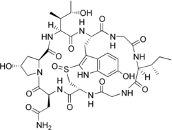 Strukturní vzorec γ-amanitinu