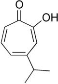 Hinokitiol – obsahující cykloheptatrienový kruh, isopropylovou, karbonylovou a hydroxylovou skupinu (isopropylcykloheptatrienolon).