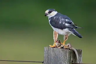 alternativní popis obrázku chybí