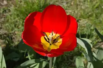 alternativní popis obrázku chybí