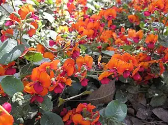 alternativní popis obrázku chybí