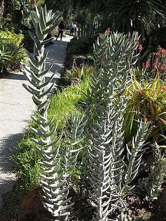 alternativní popis obrázku chybí