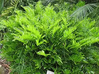 alternativní popis obrázku chybí