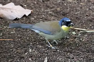 alternativní popis obrázku chybí