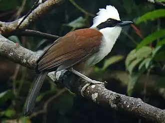 alternativní popis obrázku chybí