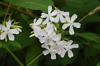 alternativní popis obrázku chybí