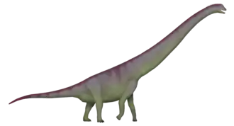 alternativní popis obrázku chybí