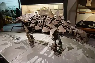 alternativní popis obrázku chybí