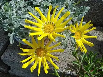 alternativní popis obrázku chybí