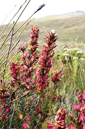 alternativní popis obrázku chybí