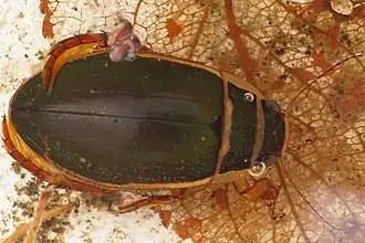 alternativní popis obrázku chybí