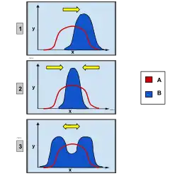 Grafické znázornění usměrňující, stabilizující a disruptivní selekce v porovnání s normálním rozdělením
