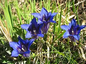 alternativní popis obrázku chybí