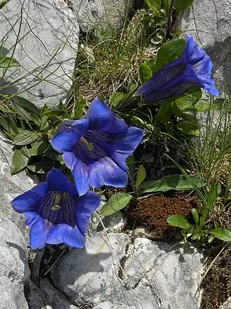 alternativní popis obrázku chybí