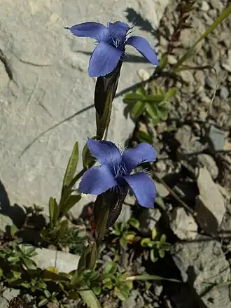 alternativní popis obrázku chybí