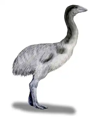 alternativní popis obrázku chybí