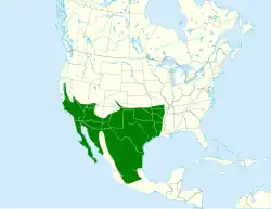 Mapka s rozšířením kukačky kohoutí (zeleně).