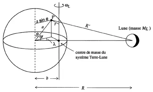Země a Měsíc obíhající kolem společného těžiště