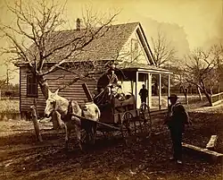 Mezek táhnoucí káru, Stony Creek, Virginia, 1886
