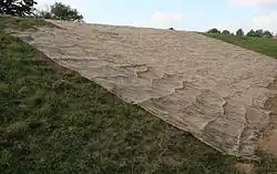 Osnovní pletenina pro erozní ochranu svahu