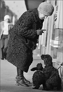 Žena v psím kožichu, Mannheim, 1970