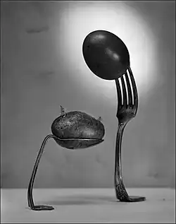 Brambora a vajíčko, 1995