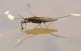 alternativní popis obrázku chybí