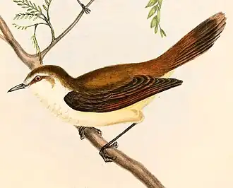 alternativní popis obrázku chybí