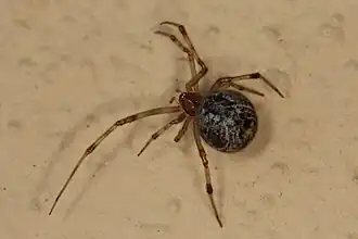 alternativní popis obrázku chybí