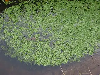 alternativní popis obrázku chybí