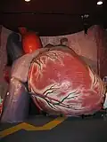 Nově zrekonstruované Obří srdce