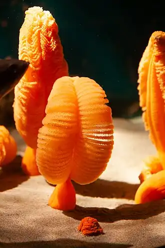 alternativní popis obrázku chybí