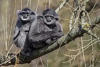 alternativní popis obrázku chybí