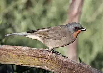 alternativní popis obrázku chybí