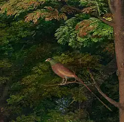 Bažanta mohl namalovat vévoda Alfonso