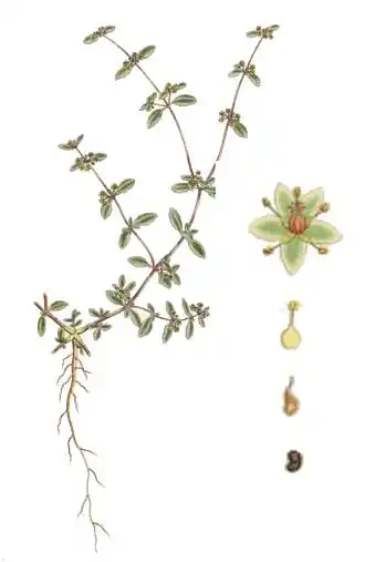 alternativní popis obrázku chybí