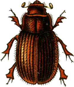 popis obrázku chybí