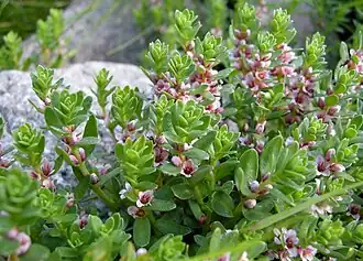 alternativní popis obrázku chybí