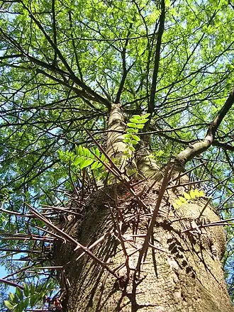 alternativní popis obrázku chybí