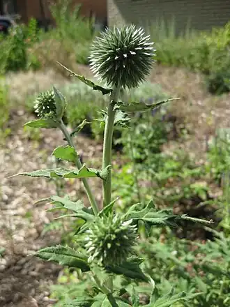alternativní popis obrázku chybí