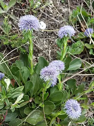 alternativní popis obrázku chybí